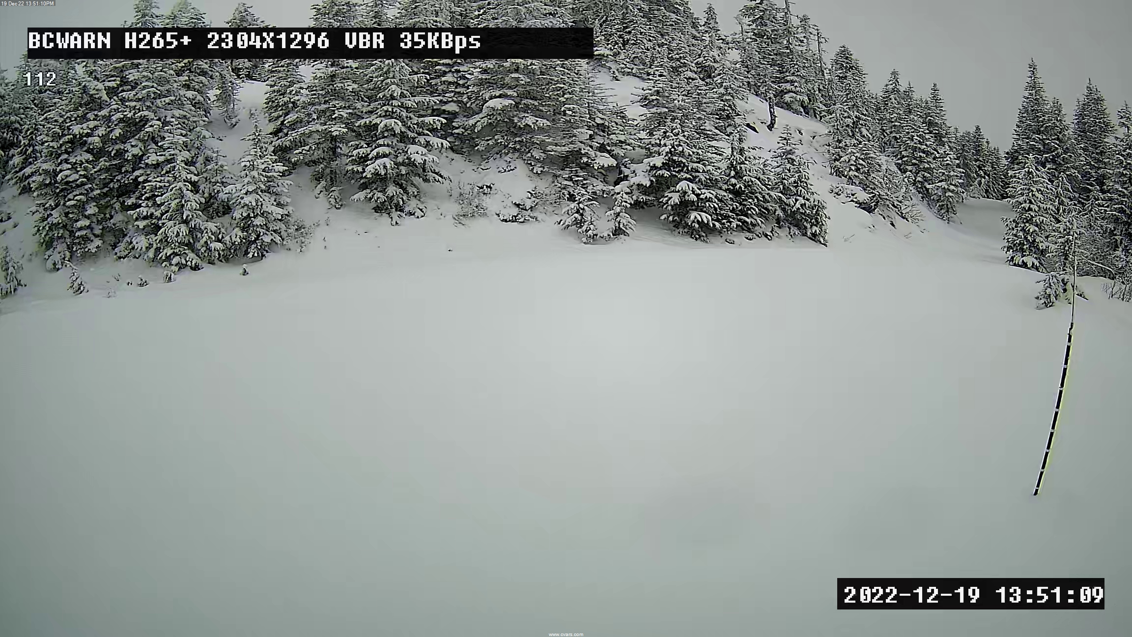 camera feed